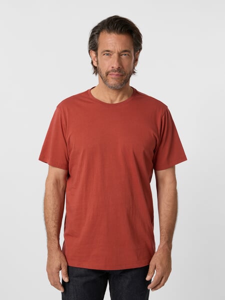 Herren-T-Shirt Rostrot, Tragebild