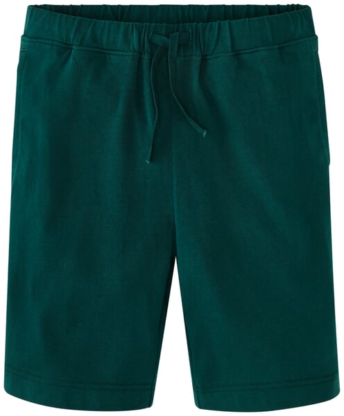 Herenshort zware trui Fles groen