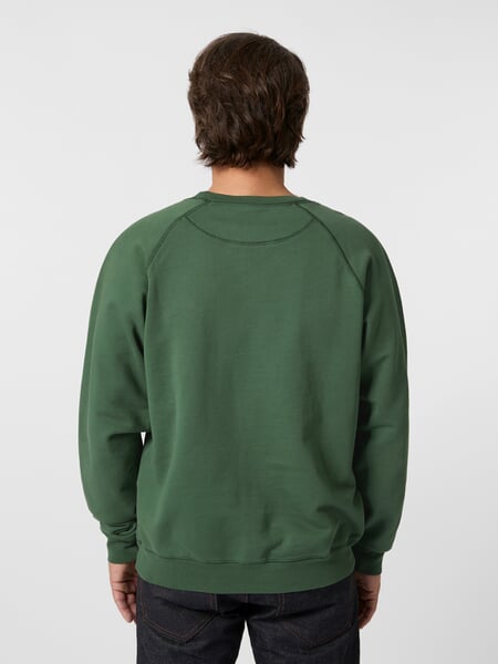 Sweat-shirt pour homme Vert, présenté sur un modèle