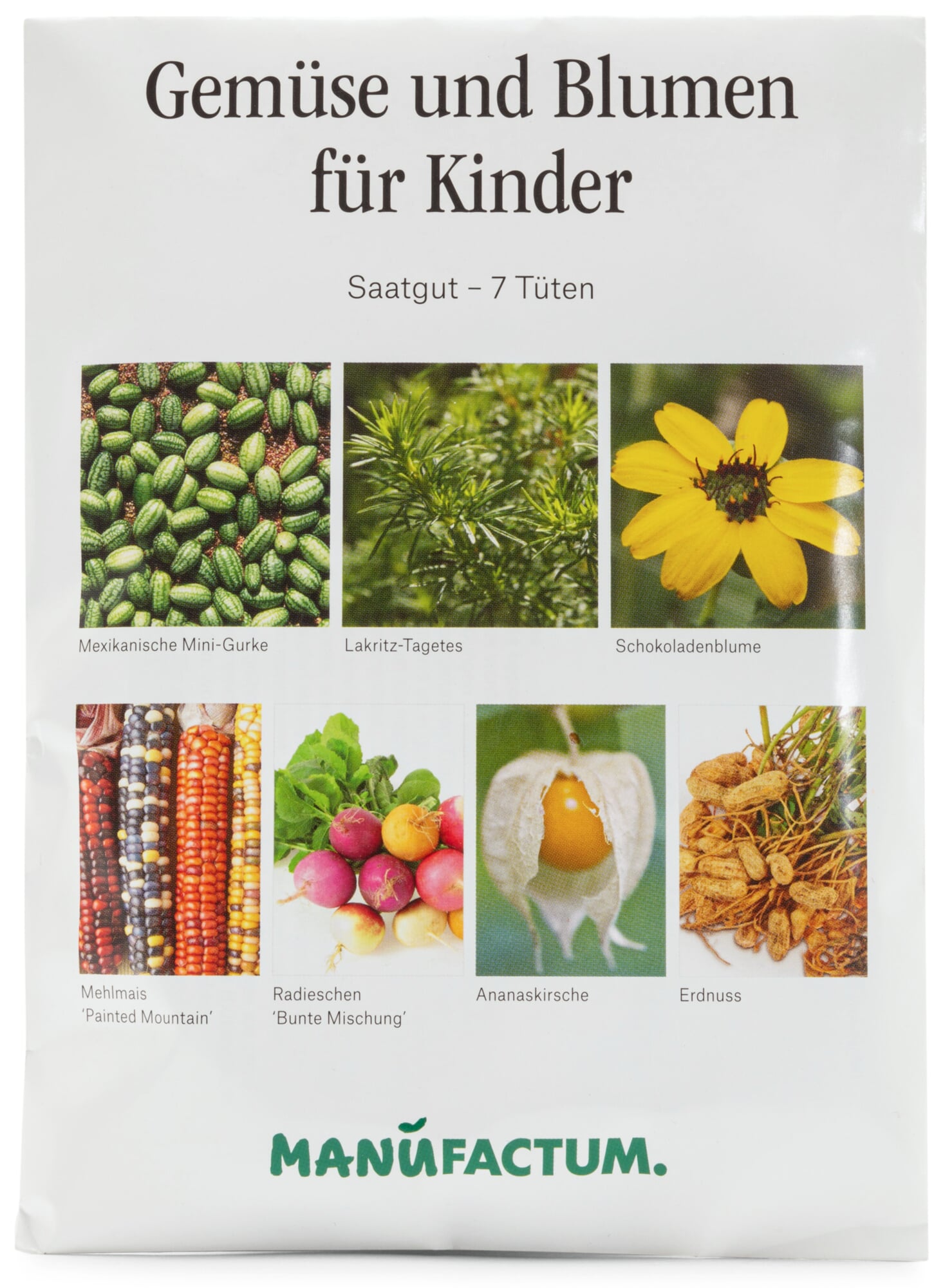 künstliche deko pflanzen LB H&F 3er Set künstliche Pflanzen Sukkulenten Kunstpflanze als Dekopf –  www.LILIENBURG.de
