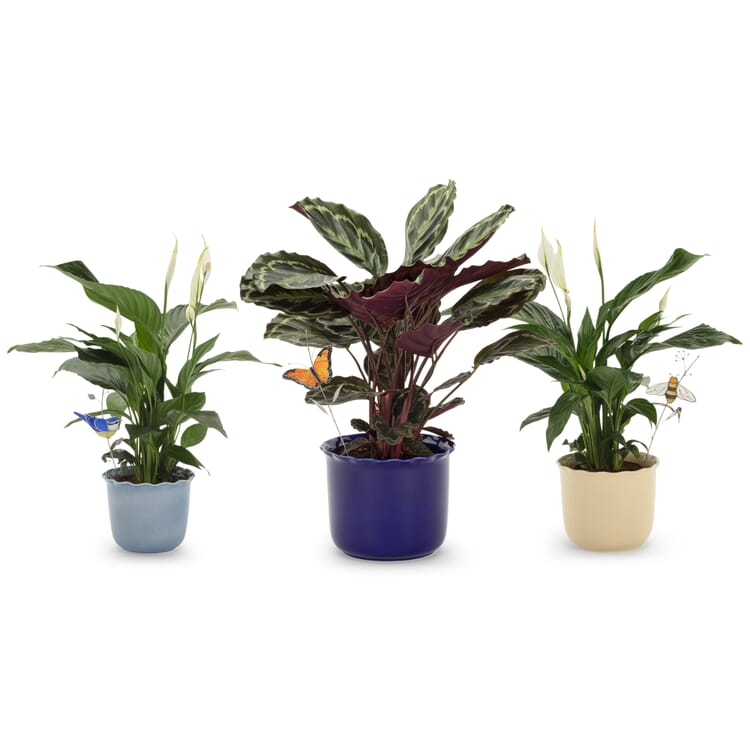 Blomsterprop af glas, Fugl