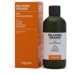 Infusion pour sauna Orange relaxante 2026