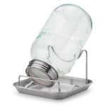 Vetro Sprout Perla