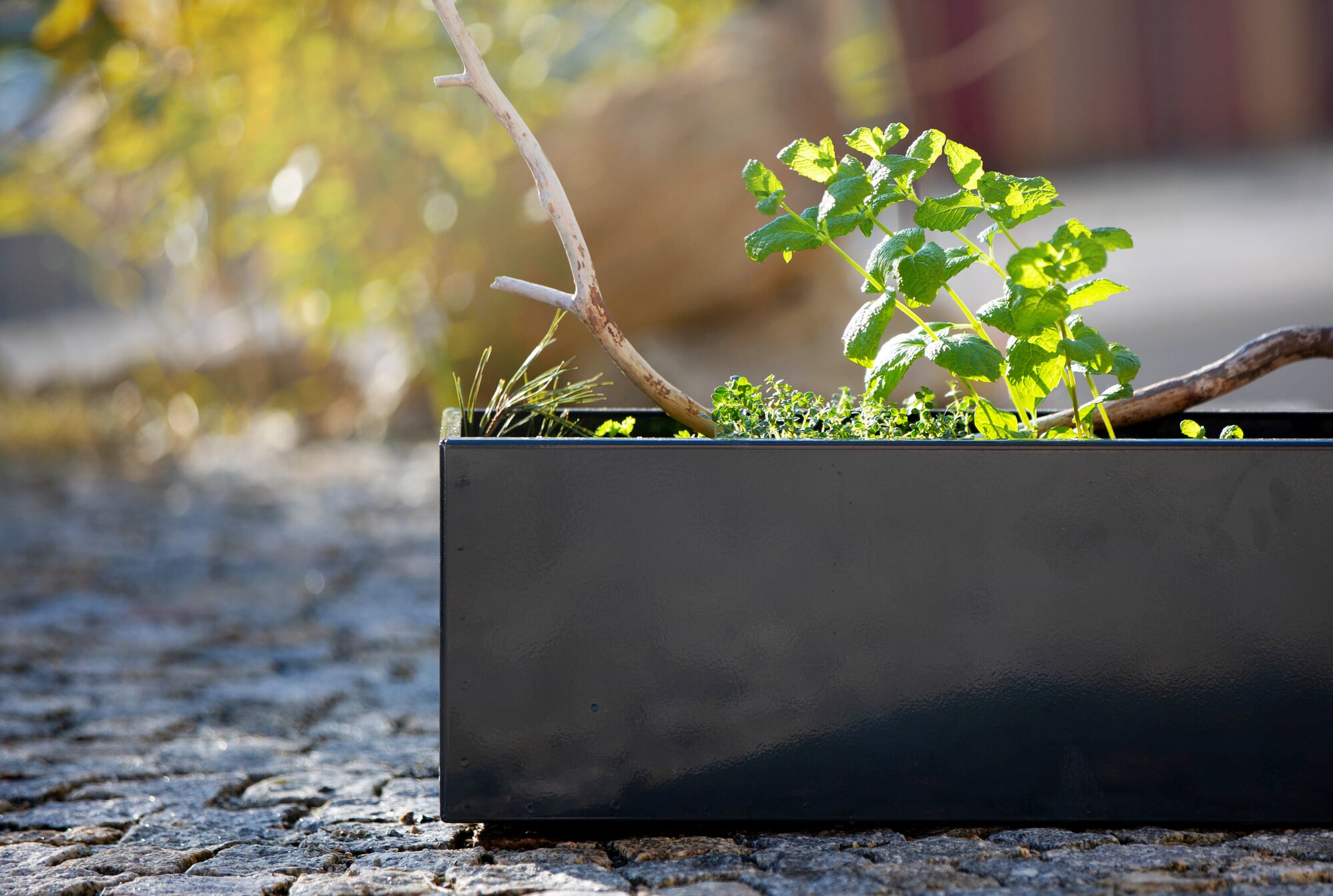 blumenkasten einzeln Balkonbox Flower Power kaufen