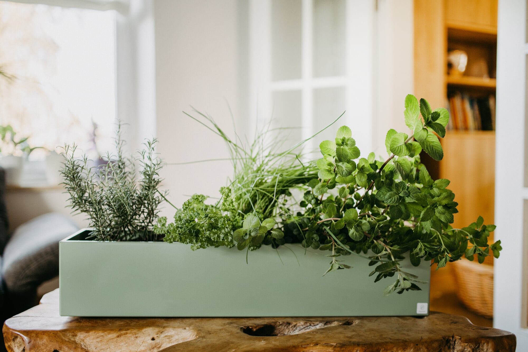 Blumenkasten Stahl, Hellgrn | Manufactum