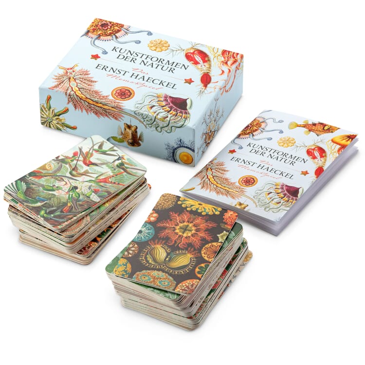 Jeu de mémoire Formes d'art de la nature