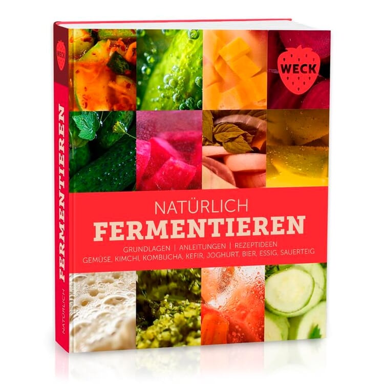 Fermenter naturellement