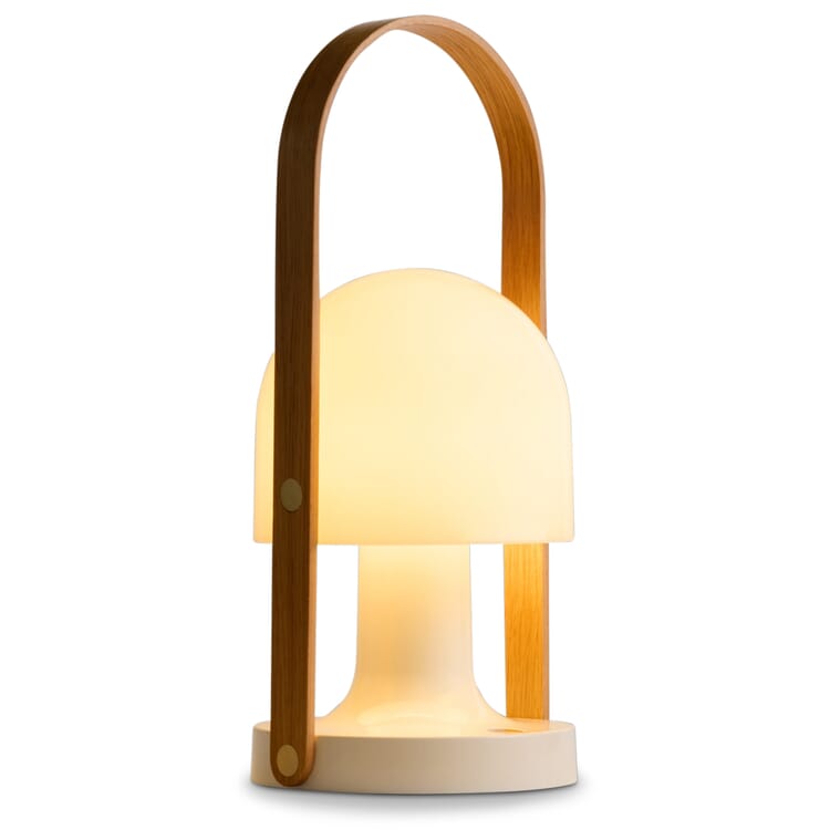 Lampada universale Follow Me 2.0