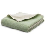 Serviette éponge Gradient Menthe Serviette de bain