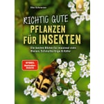Richtig gute Pflanzen für Insekten