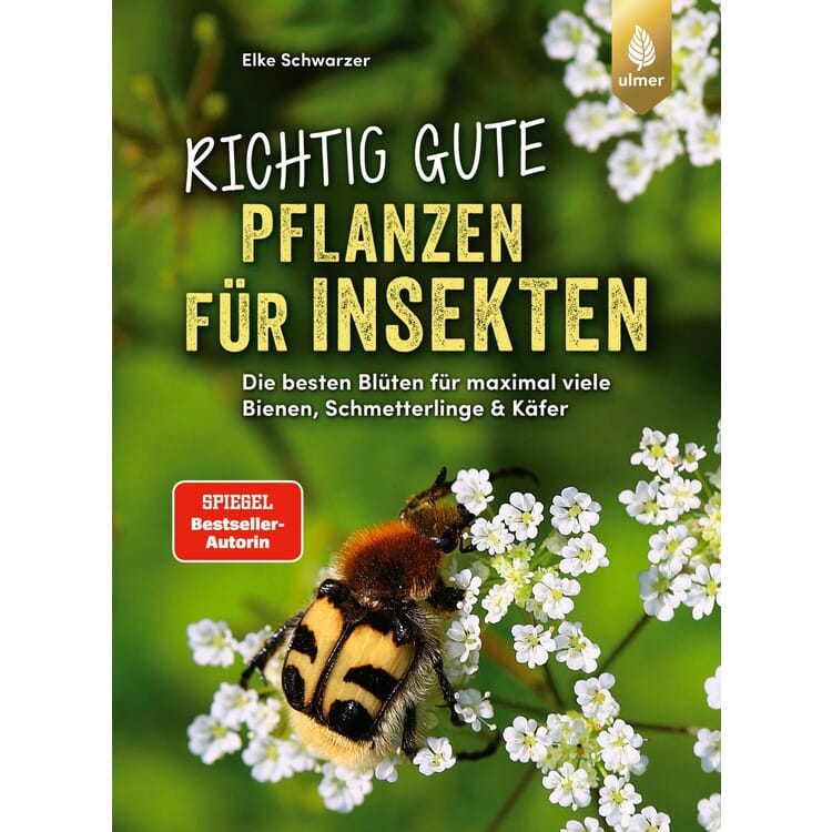 Richtig gute Pflanzen für Insekten