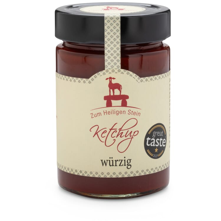 Ketchup würzig
