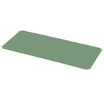 Fond de conteneur pour Container DS RAL 6011 Vert réséda