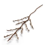Vilt tak met bessen Wit