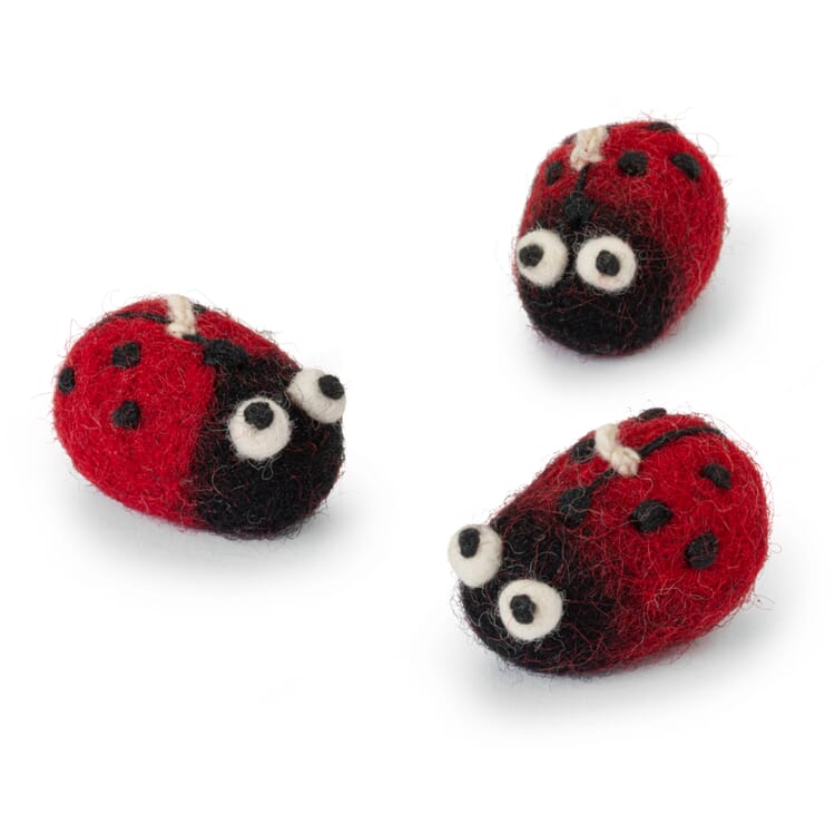 7-Spot Ladybug Felt