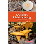 Grundkurs Pilzbestimmung - Vom Anfänger zum Profi