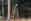 Hochstand