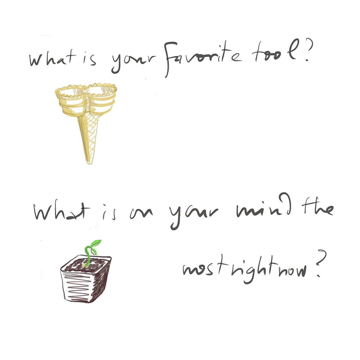 Seven questions