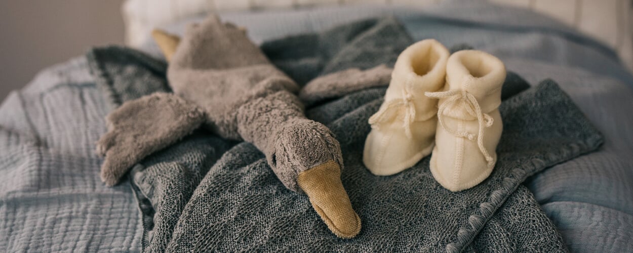 Baby blanket and goose cuddly toy