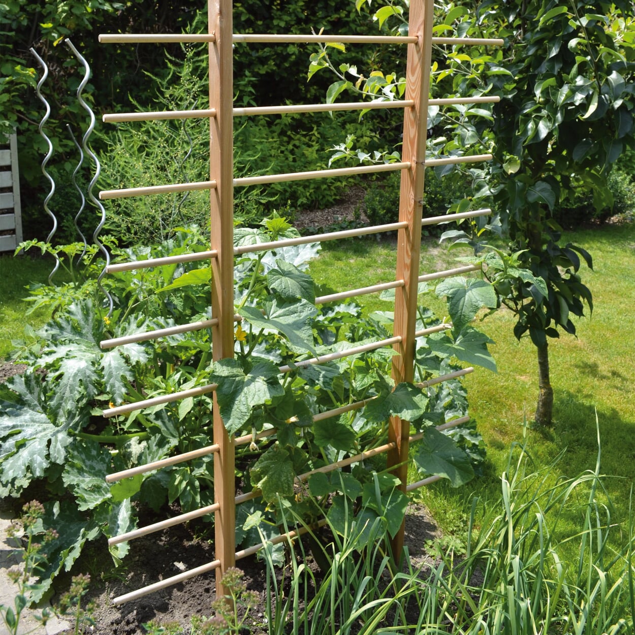 Trellises