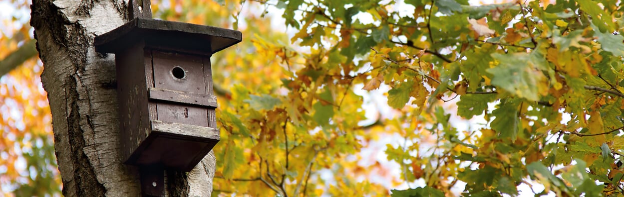 Bird nesting box