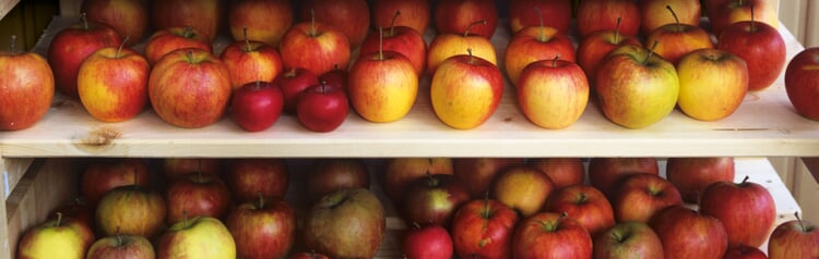 Das Obst- und Gemüselager kontrollieren | Manufactum Gartenjahr