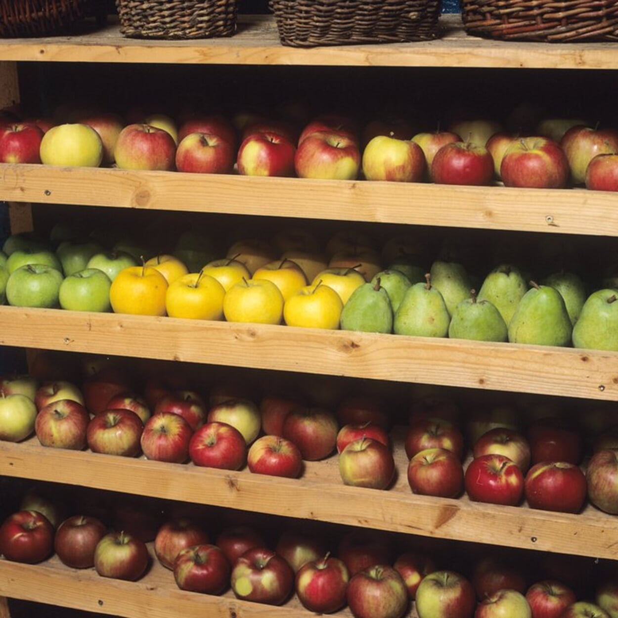 Bewaar appels in houten kisten
