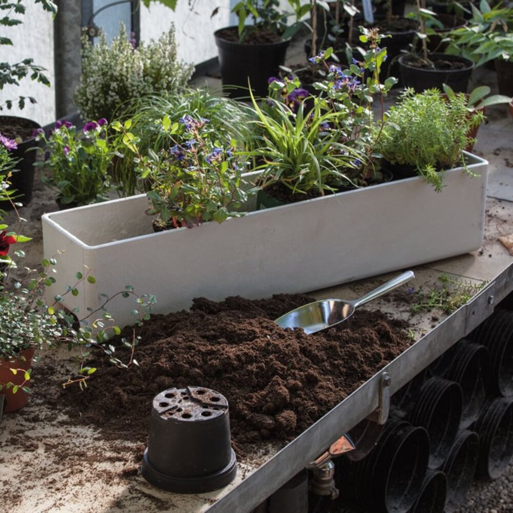 Balkonkästen mit Herbstblühern bepflanzen Manufactum Gartenjahr