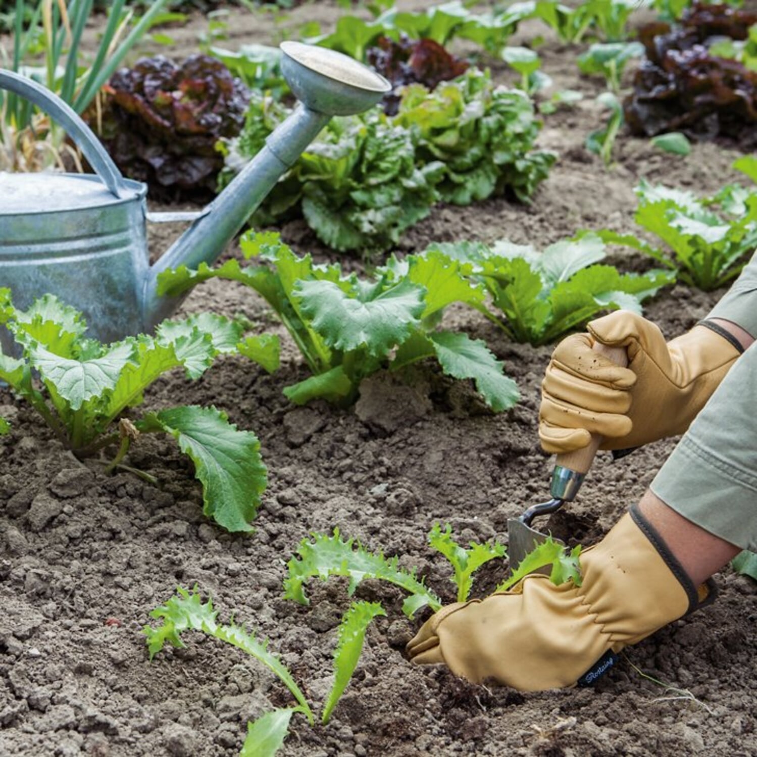 Manufactum Gartenjahr Gartenkalender für wissbegierige Gärtner