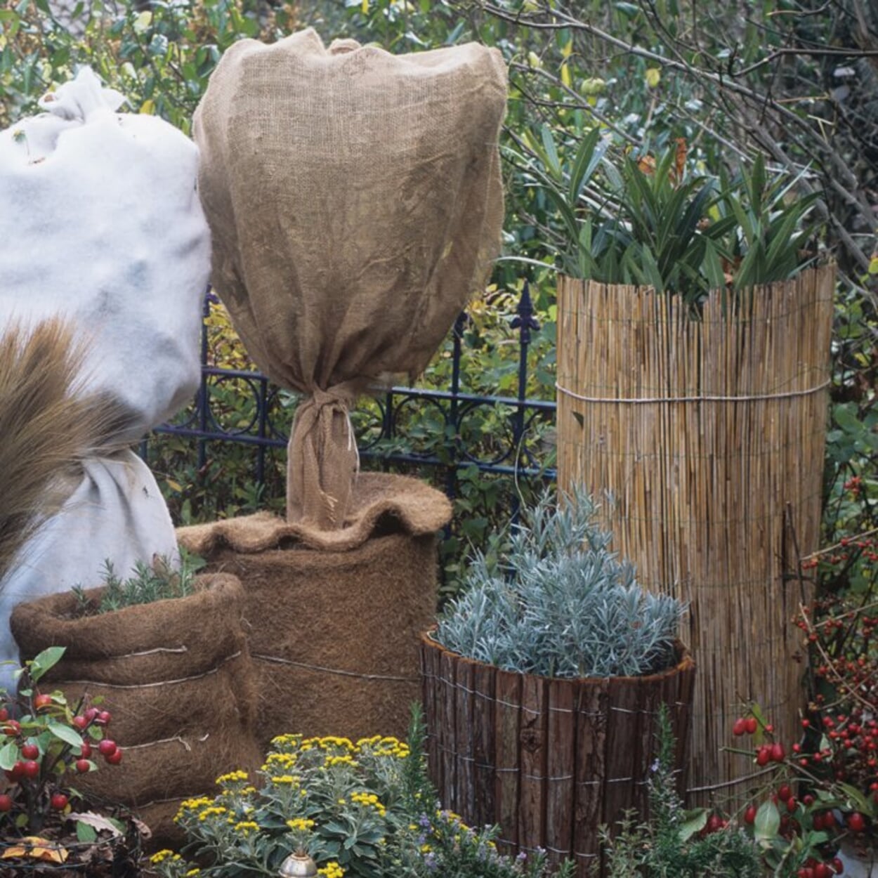 Robuuste fleece stof die planten beschermt tegen kou, wind en sneeuwbelasting