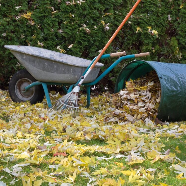 Laub sammeln und kompostieren Manufactum Gartenjahr