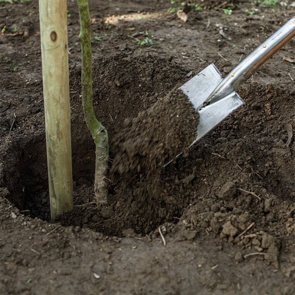 Wurzelnackte Obstbäume pflanzen Manufactum Gartenjahr