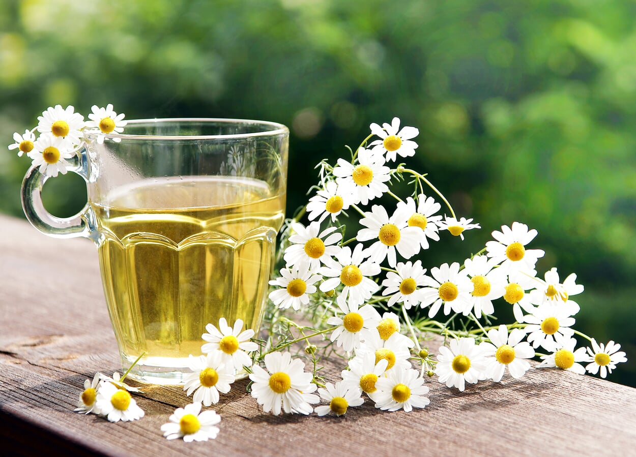 Tisane à la camomille