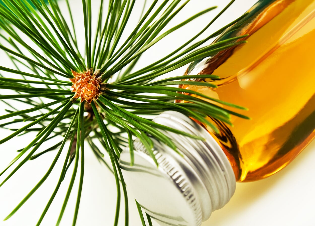 Mountain pine oil