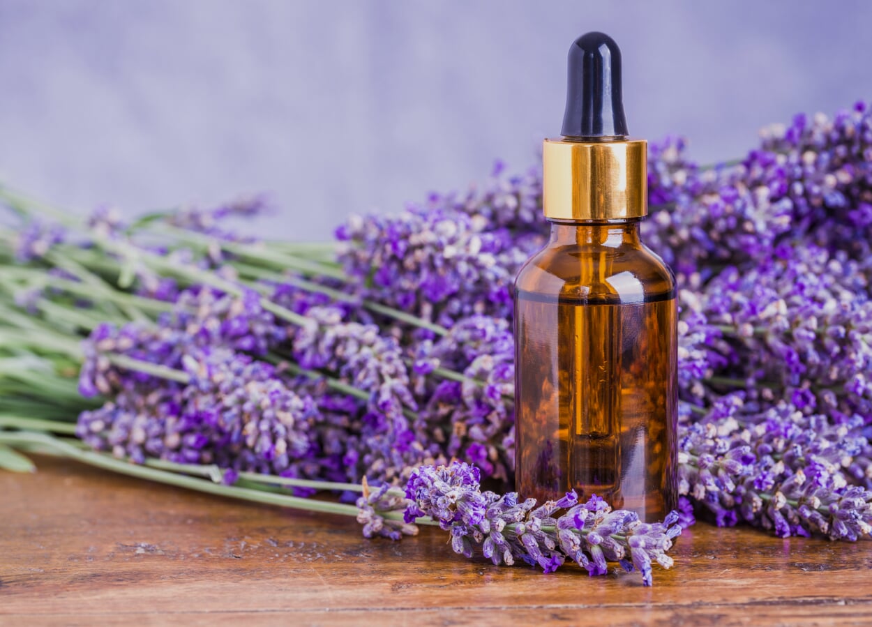 Lavender oil