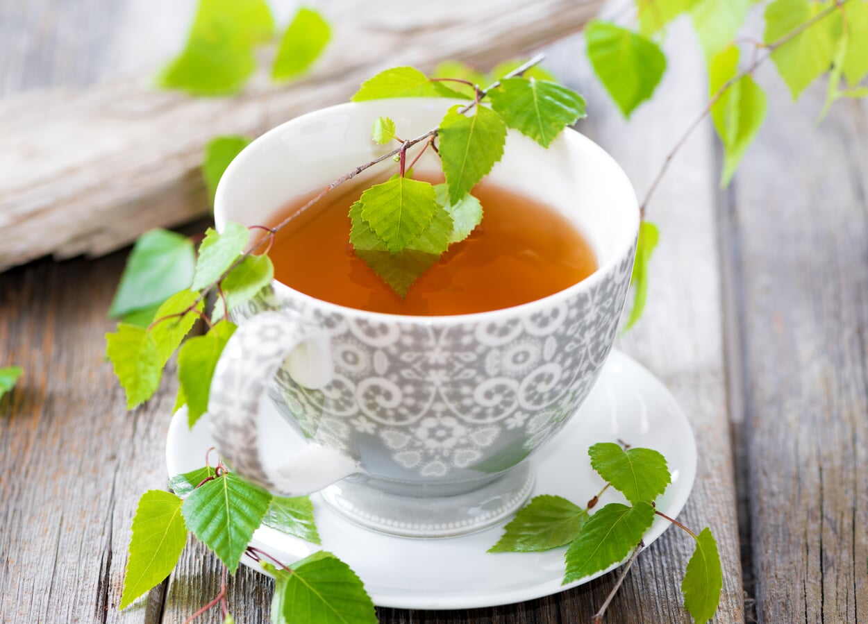 Birch tea