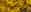 Amerikaanse toverhazelaar (Hamamelis virginiana)
