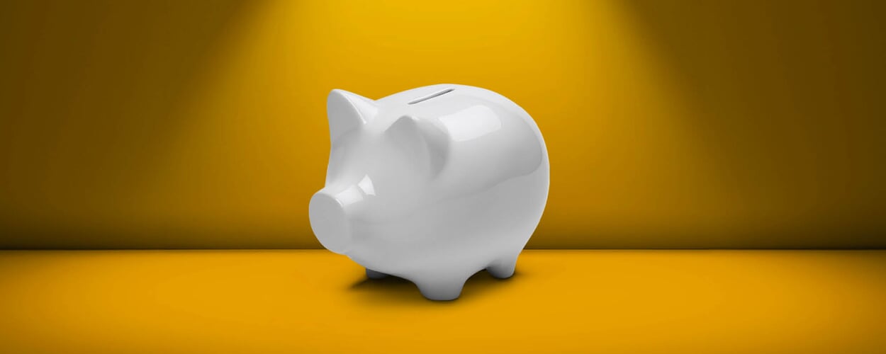 Das Sparschwein konservativ
