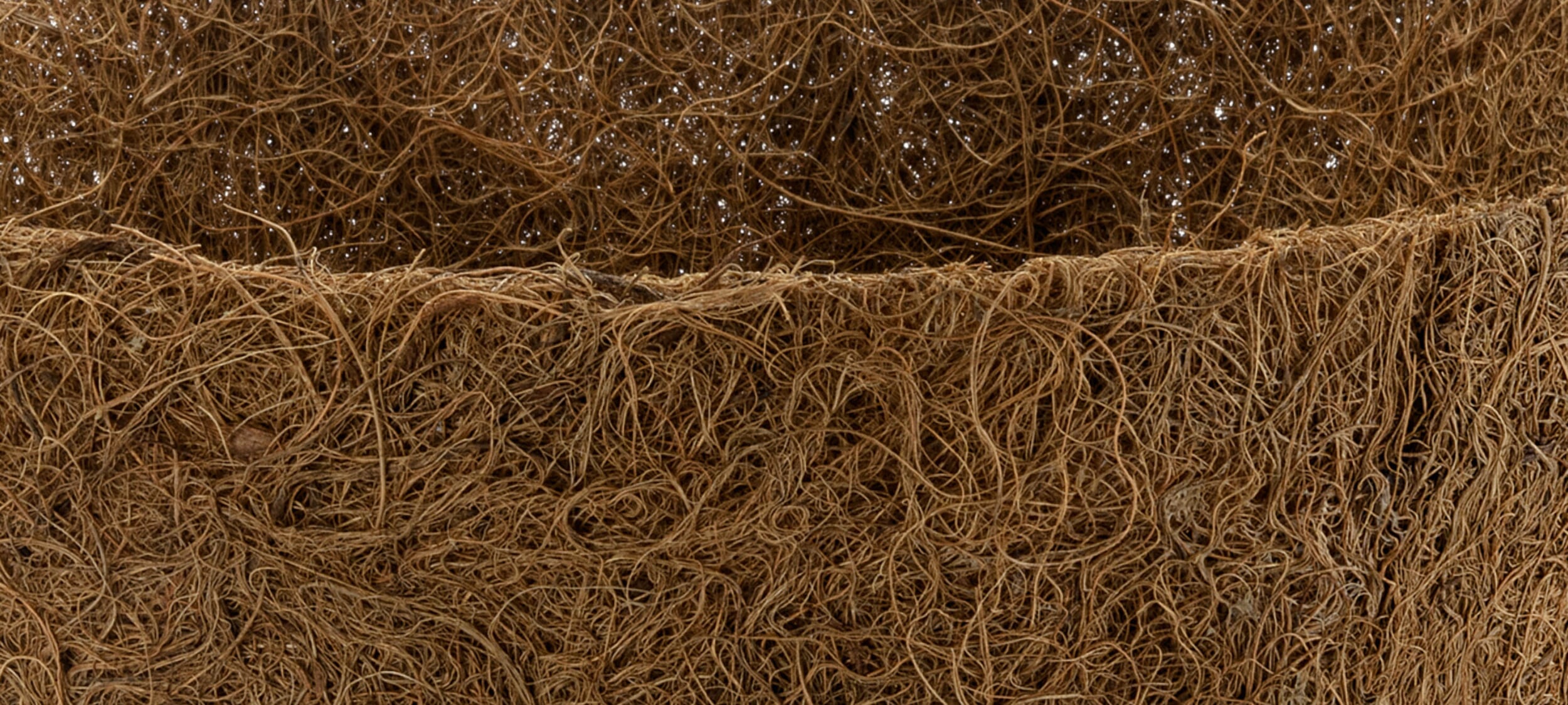 Coconut Fiber properties and care Manufactum