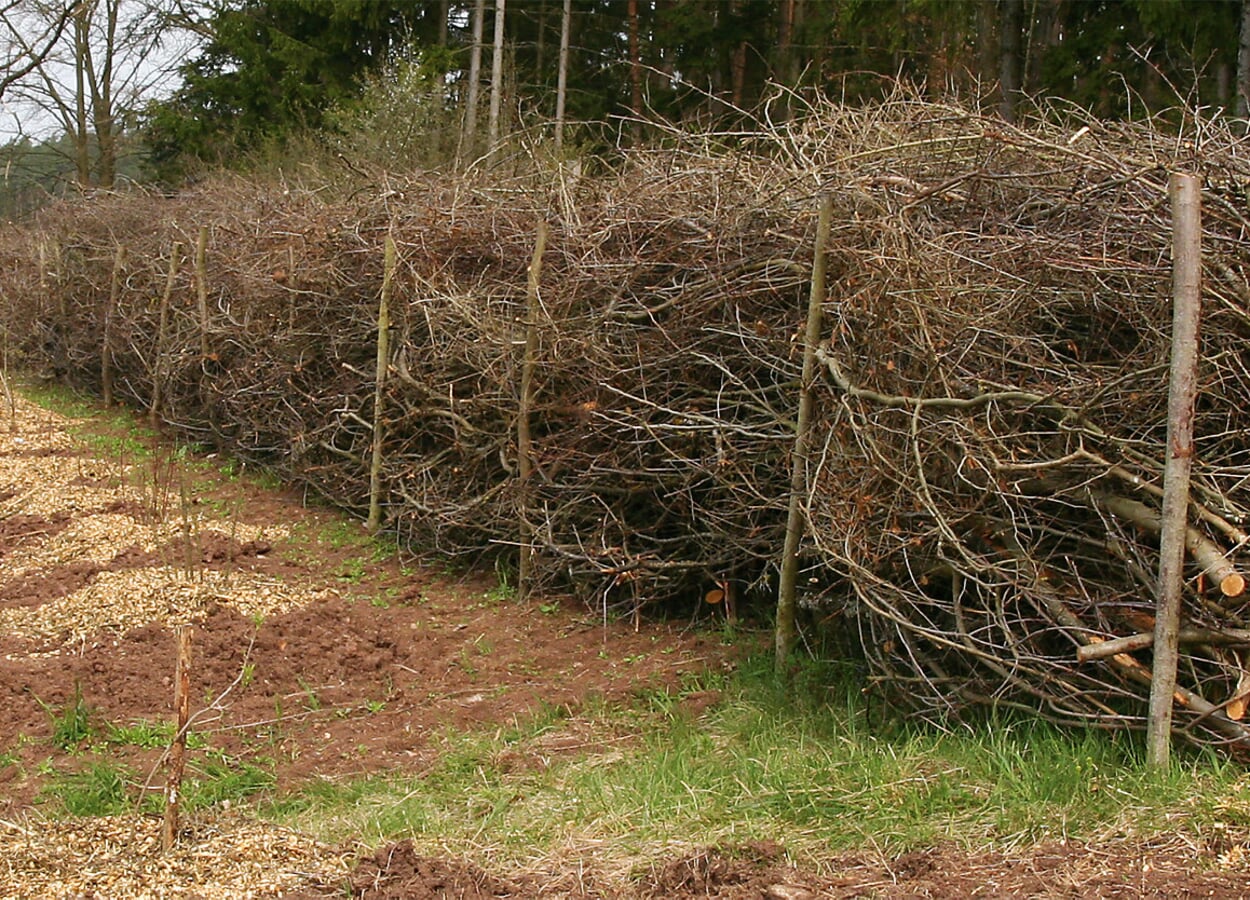 Pile Benjes hedge
