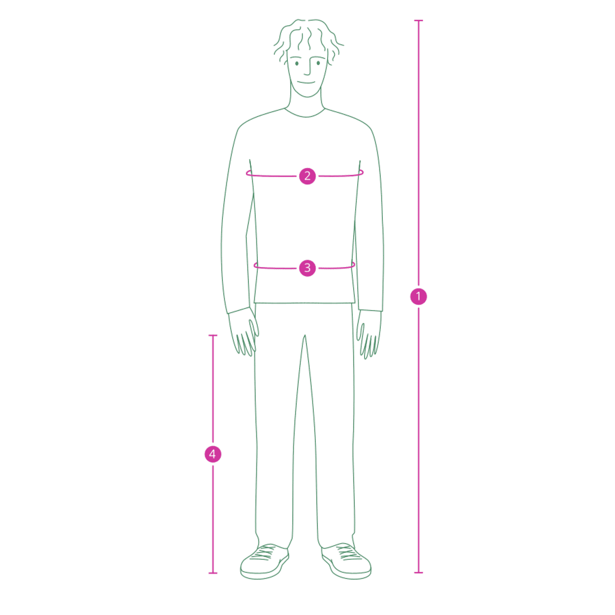 Illustration d'un homme vu de face. Une ligne indique la taille du corps, de la tête aux pieds. Une autre ligne indique le tour de taille à la hauteur correspondante. Une troisième ligne indique la longueur intérieure de la jambe, qui va de l'entrejambe à la plante du pied.