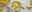 Tagliatelle al Limone