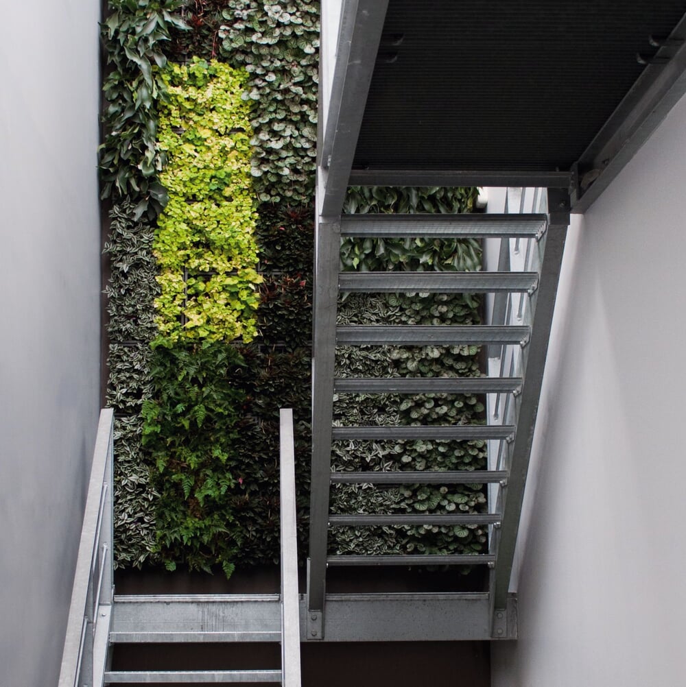 Vertikales Gärtnern: Gestaltungsideen & Produkte | Manufactum