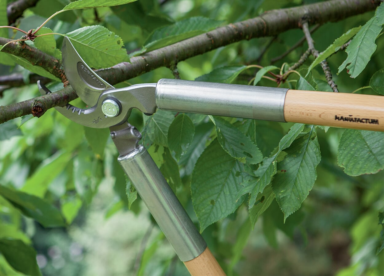 Astschere mit Hebelwirkung