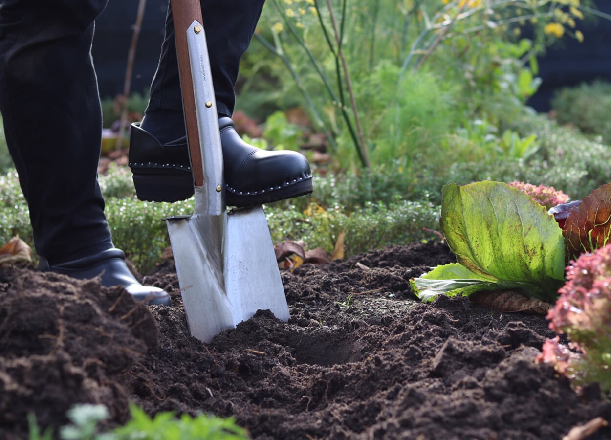 Tilling the soil with a spade