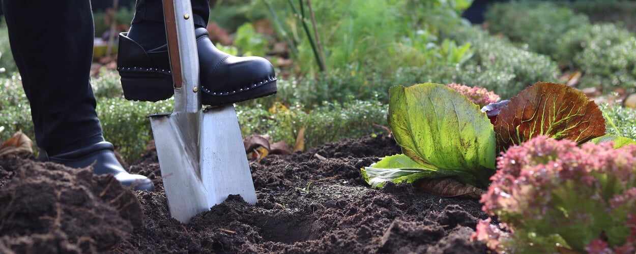 Construire dans le jardin