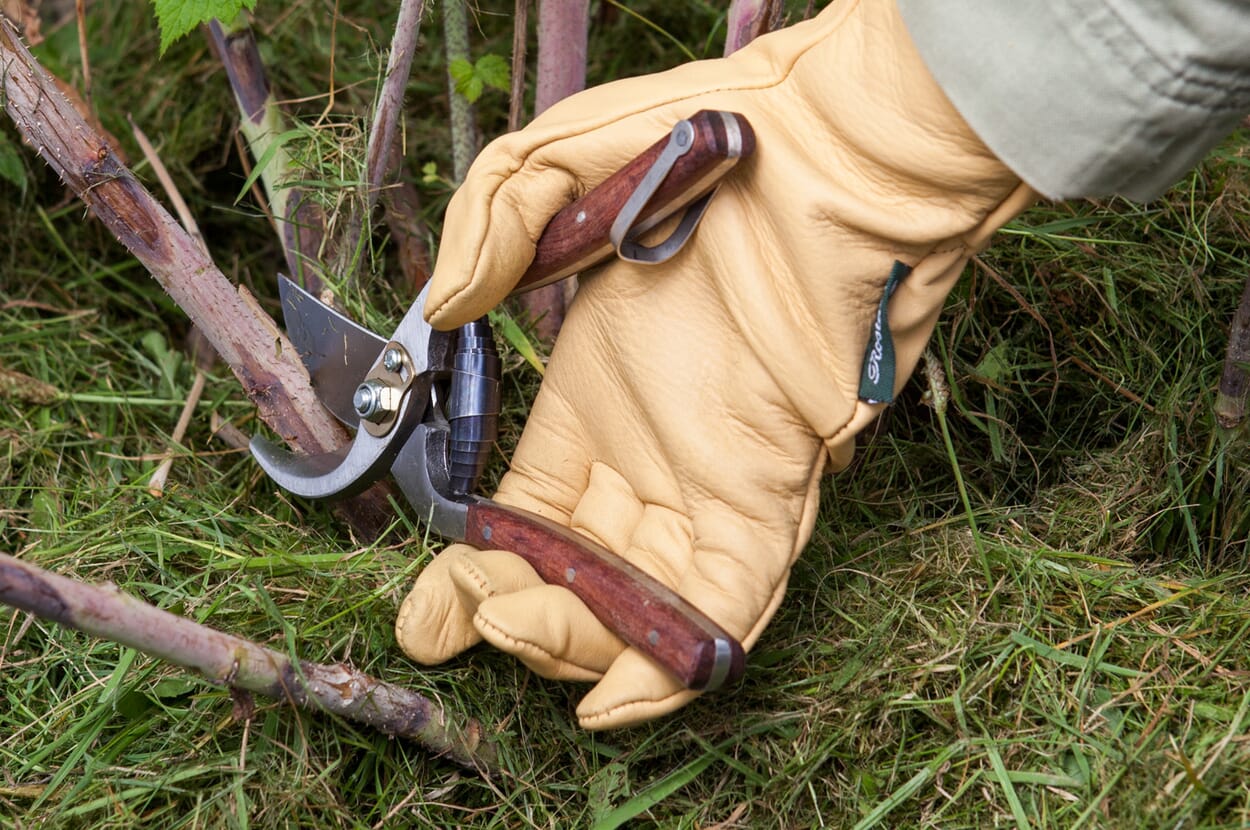 Garden shears wooden handle