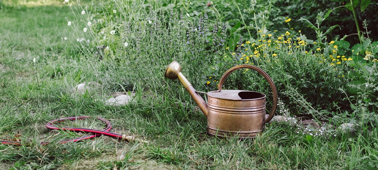 Sustainable gardening: watering in a resource-saving way