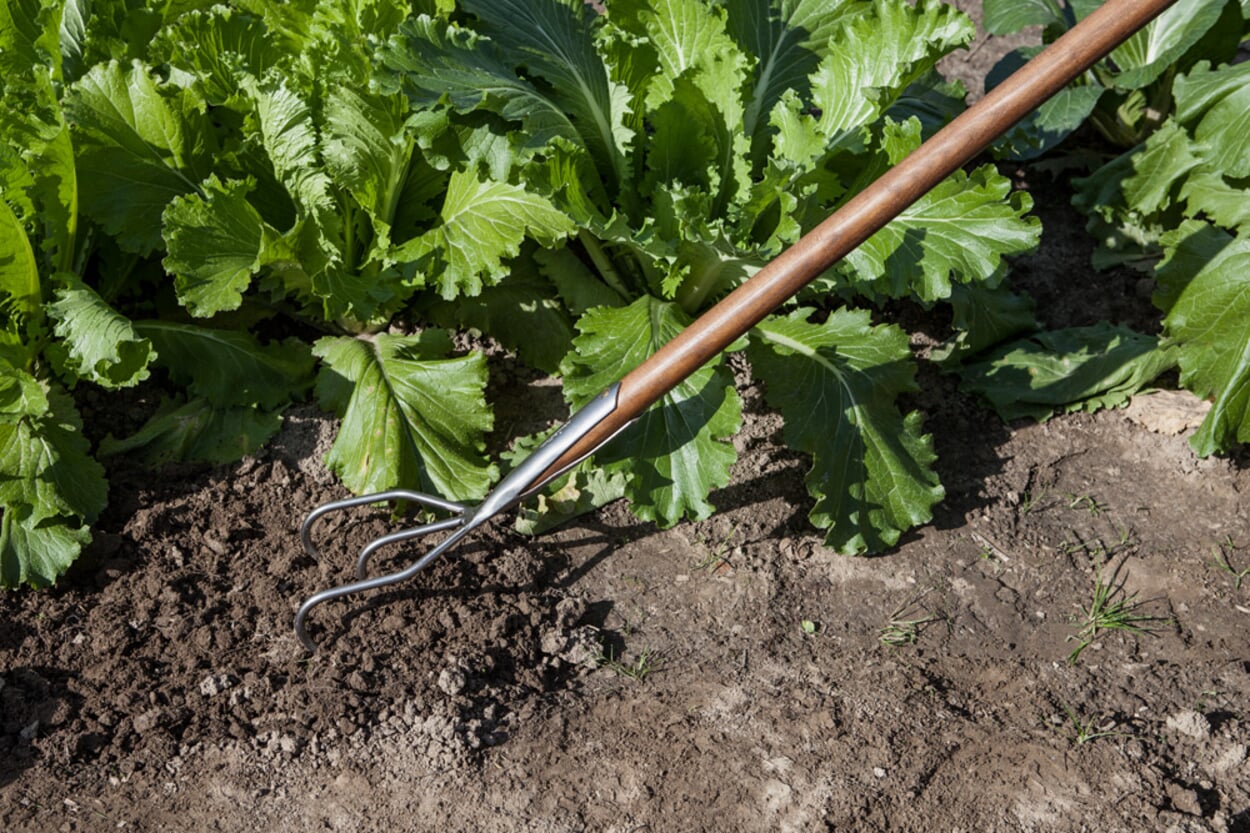 Sustainable gardening: watering in a resource-saving way