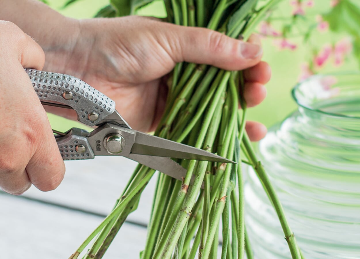 Filigree scissors for soft shoots